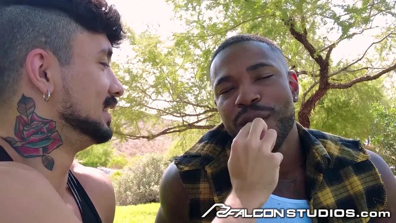 Hunk David Zayn fucks jock Reign's ass bareback