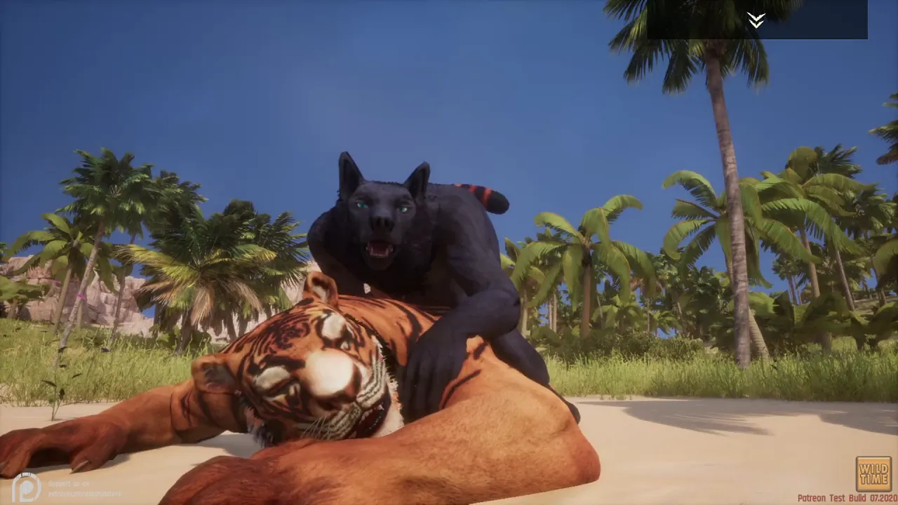 Gay furry porn video features black wolf having rough sex with a tiger