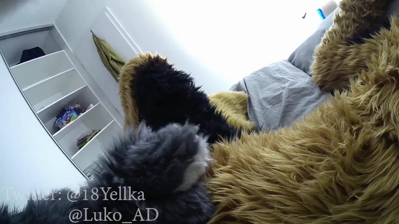 German shepherd mounts and rough-fucks submissive gray rabbit in fetish porn